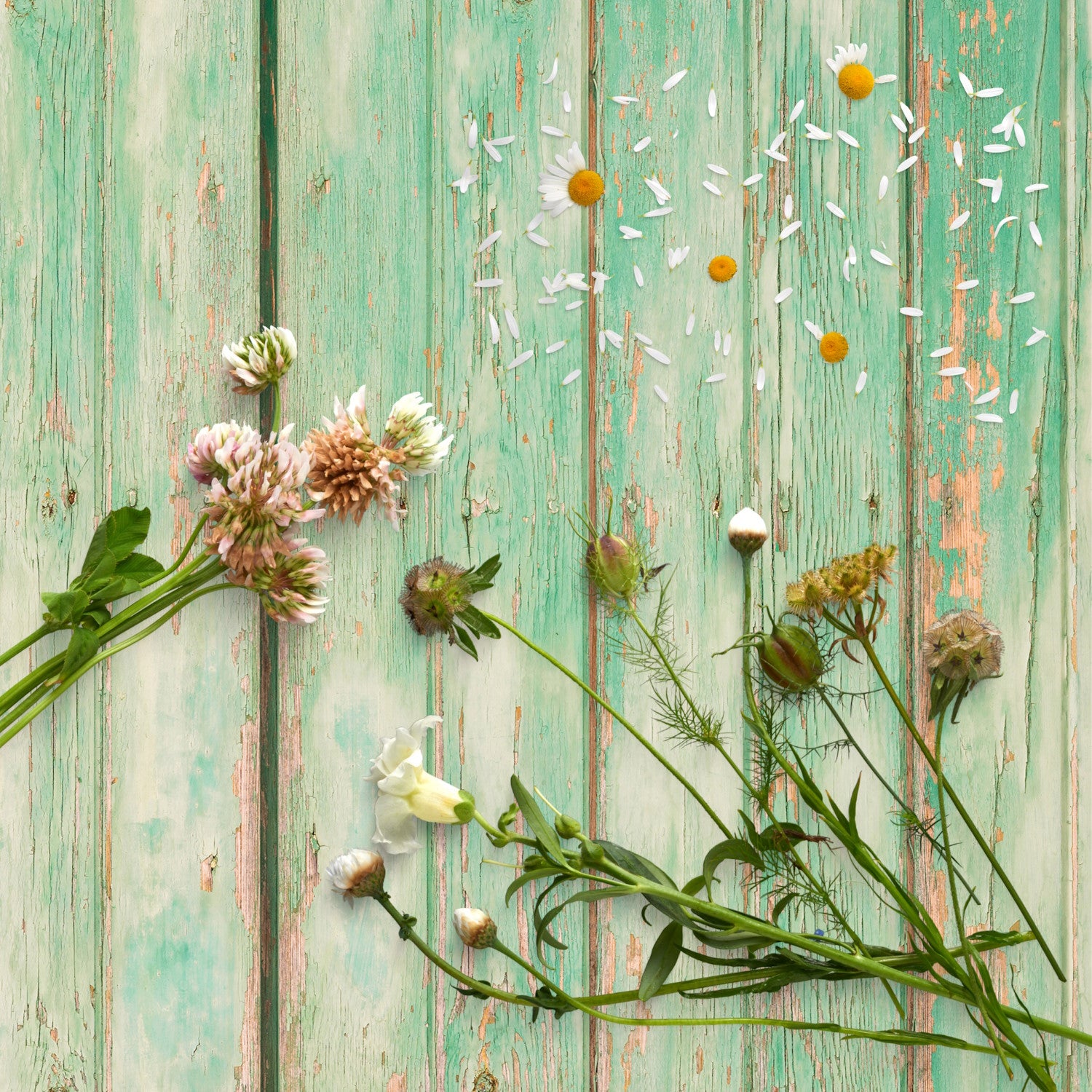 Flatlay-Fotohintergrund für Foodfotografie & Studio - HOLZ