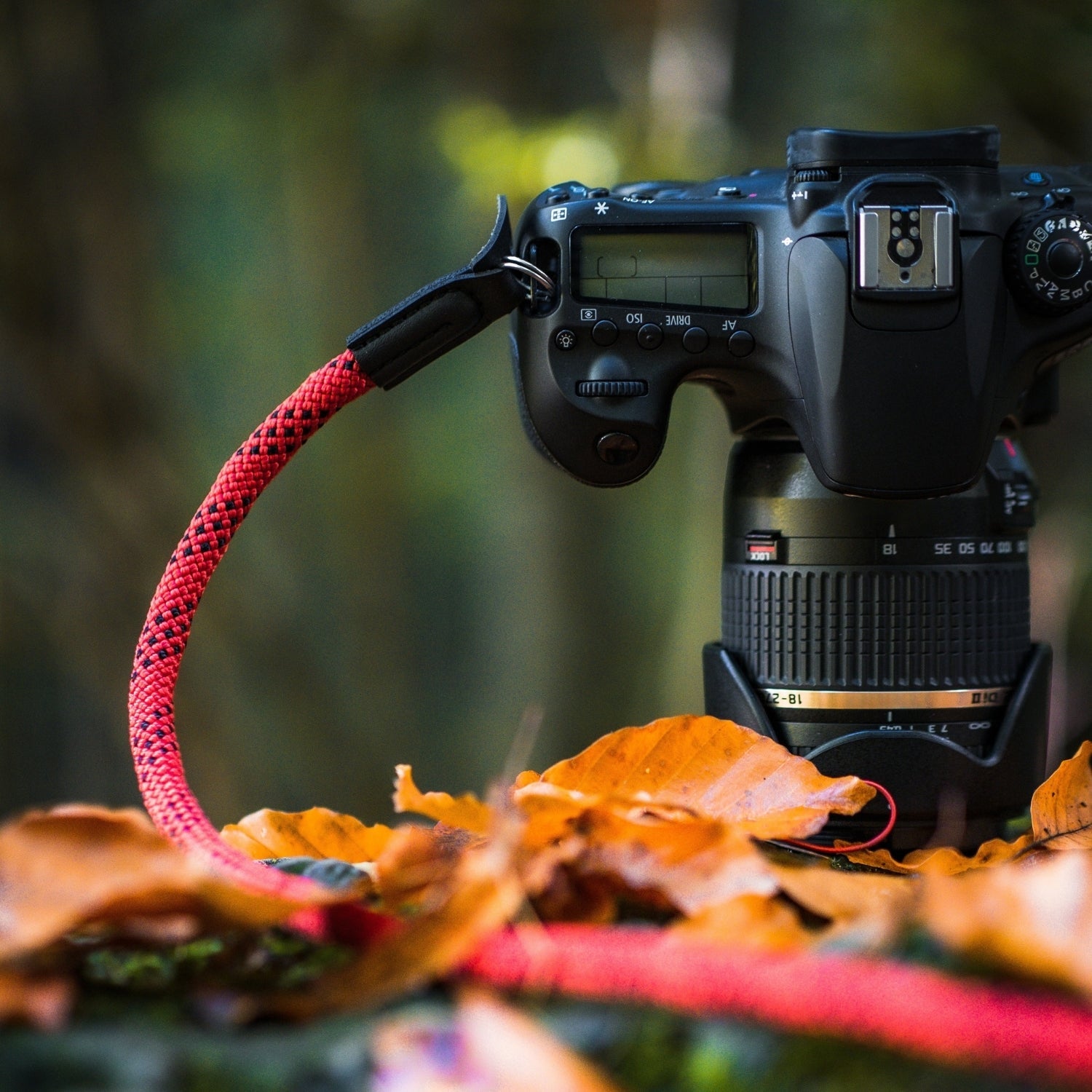 Kameragurt in Seil-Optik für Canon Nikon Sony uvm. - Kamera & Foto > Kamerazubehör > Kameragurte