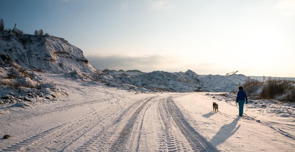 Schnee Winter Sonnenuntergang Stimmungsbild - Schöne Winterfotos – Tipps zum Fotografieren bei Schnee und Kälte