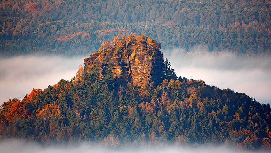 Der Zirkelstein in der Sächsischen Schweiz ist von herbstlichem Nebel eingehüllt