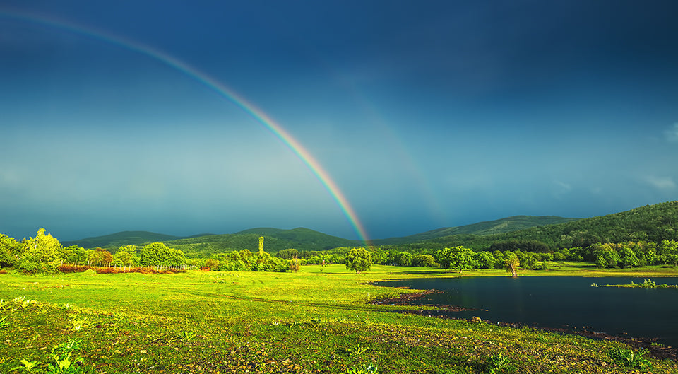 Regenbogen Polfilter - Polfilter in der Landschaftsfotografie: So lässt du Spiegelungen verschwinden