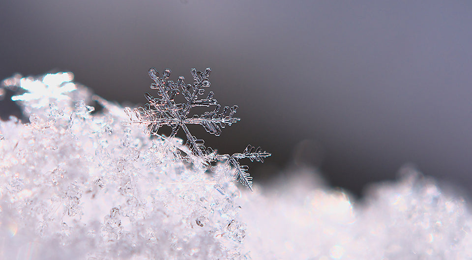 Winter Makrofotografie Frost Schneeflocke - Makrofotografie im Winter: 3 Ideen für tolle Fotos