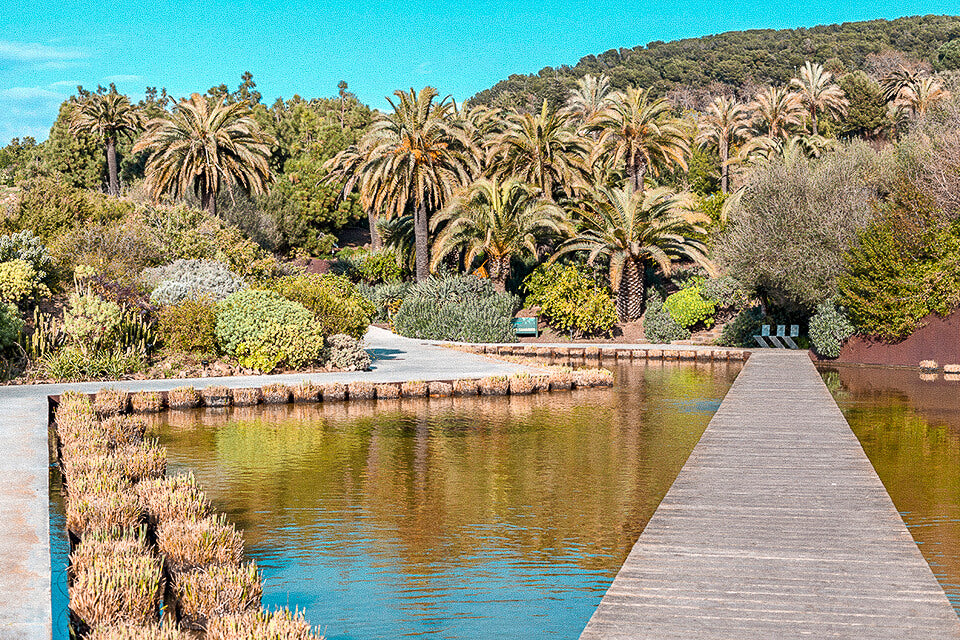 Barcelona Botanischer Garten - 17 geniale Fotospots in Barcelona, die du besuchen musst (+Bonus)!
