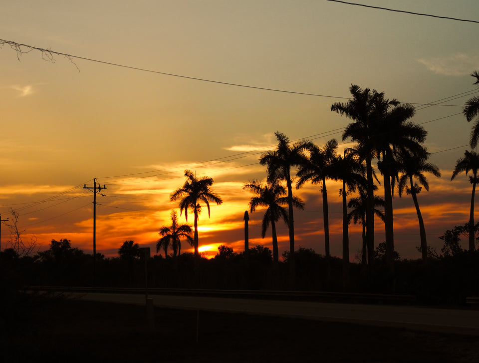 Sonnenuntergang Fotografieren Florida - Sonnenuntergang fotografieren: Tipps & Kamera-Einstellungen