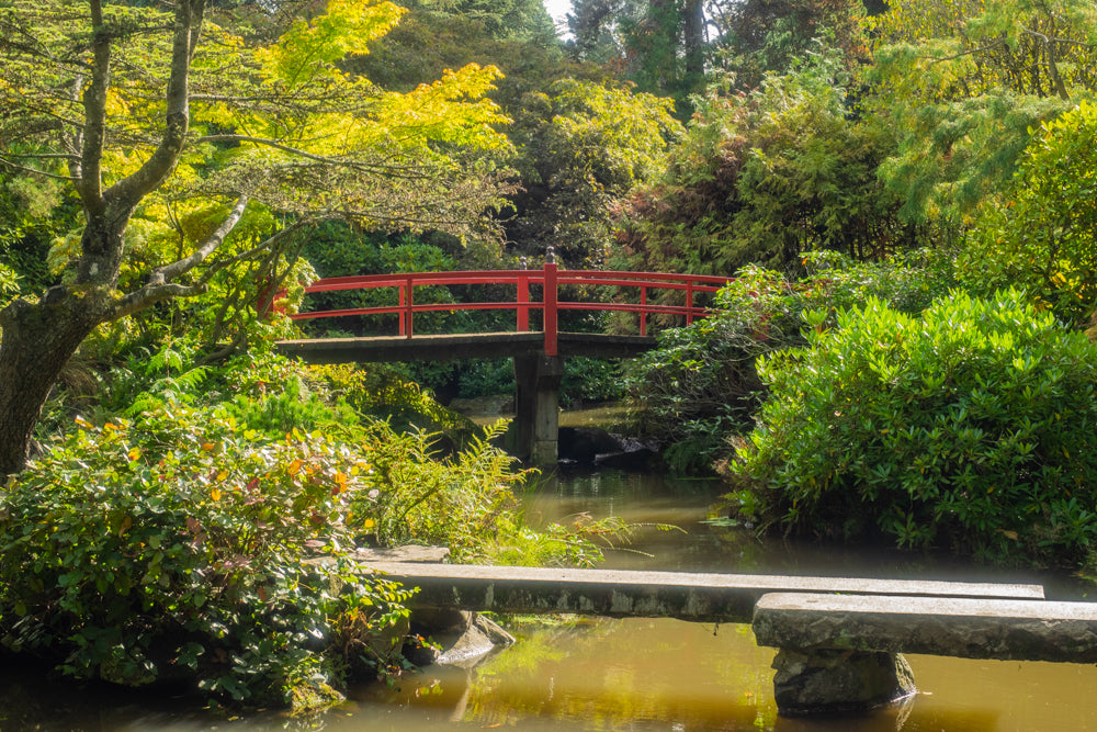 Kubota Garden Seattle - Seattle: Die Top 21 Fotospots & Instagram-Locations