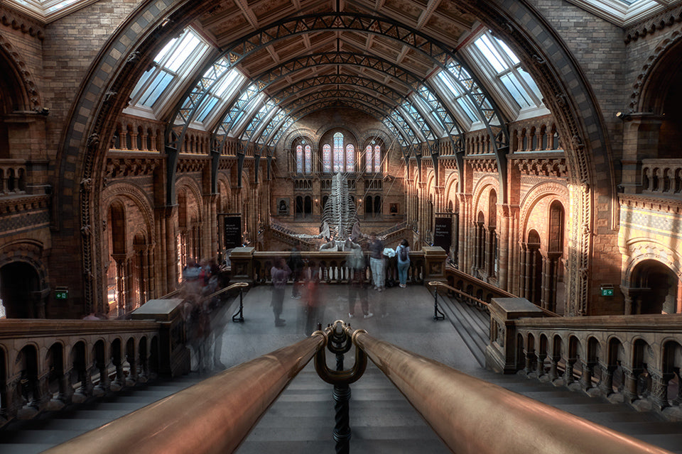 Naturkunde Museum London Besucher - Street Photography: So machst du belebte Plätze menschenleer