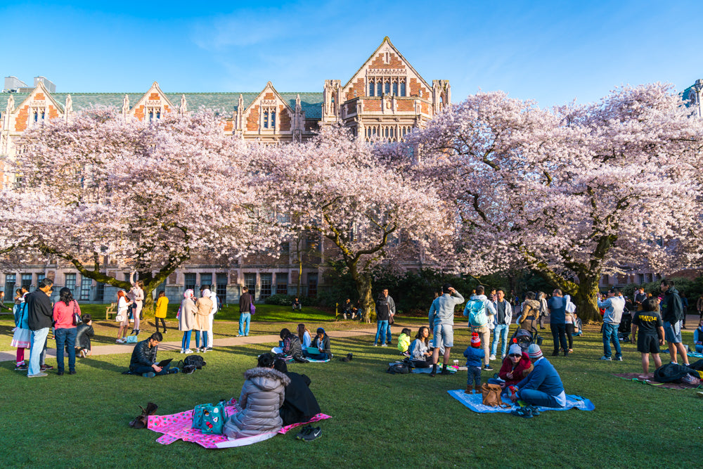 University of Washington Seattle - Seattle: Die Top 21 Fotospots & Instagram-Locations