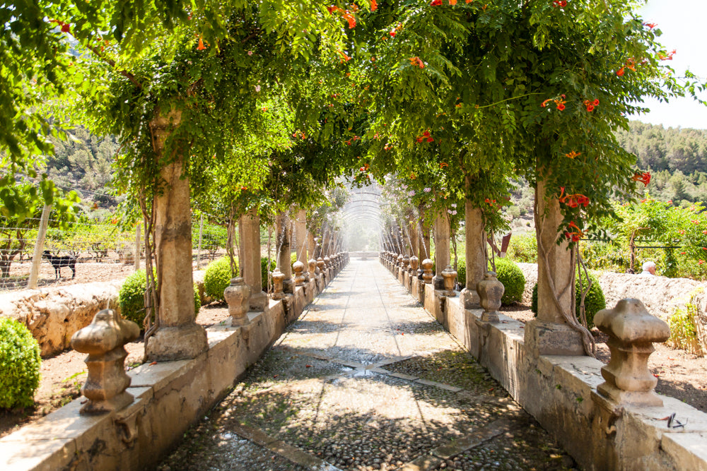 Mallorca Fotospots Jardines de Alfabia - Schönste Fotospots Mallorca: 15 Instagram-Spots für tolle Fotos
